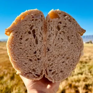 Organic Alaskan Gold Loaf (Whole Wheat Sourdough)