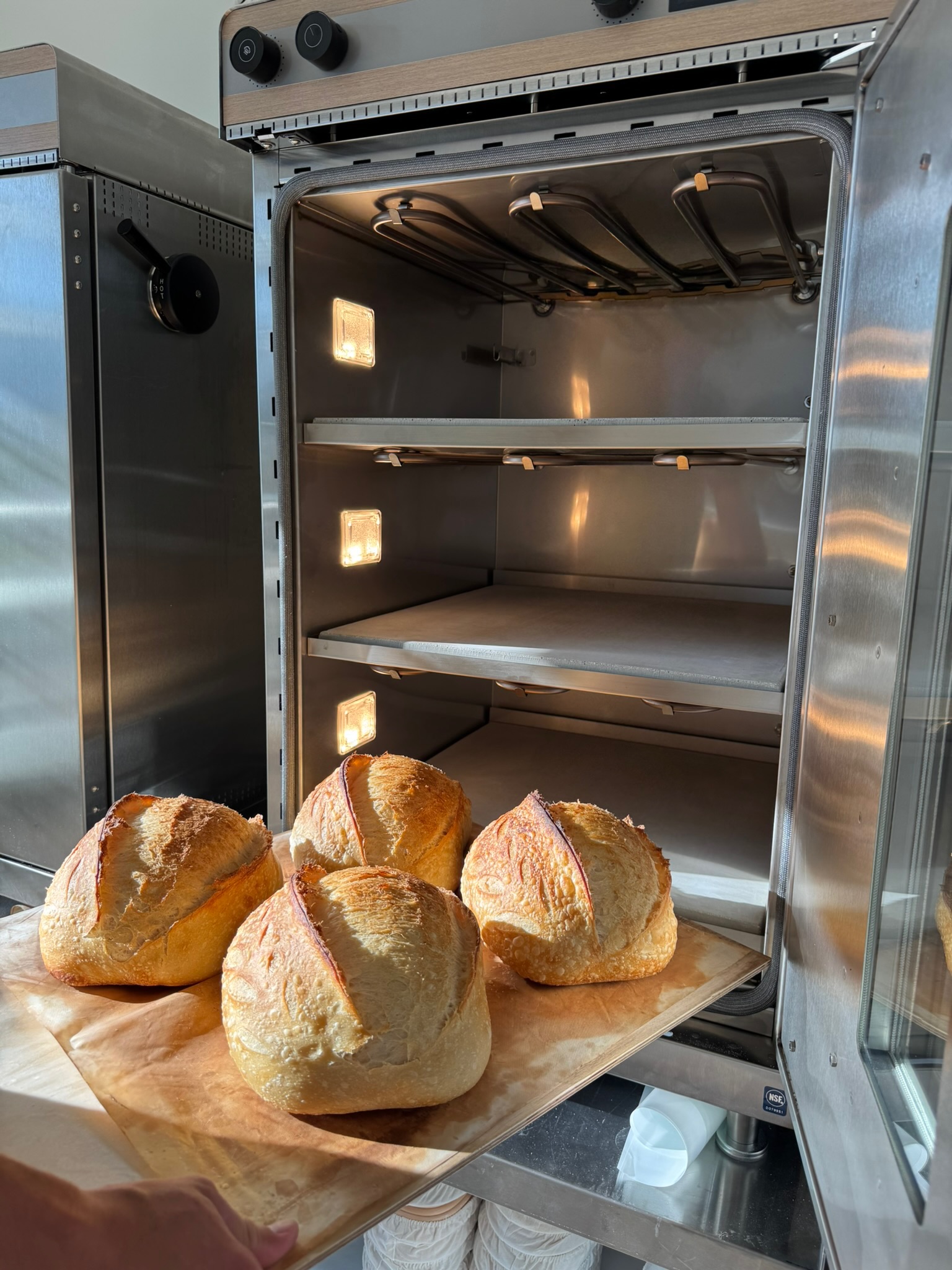 Bussin Bread fresh sourdough